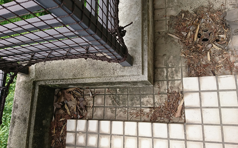 洗浄前の写真
