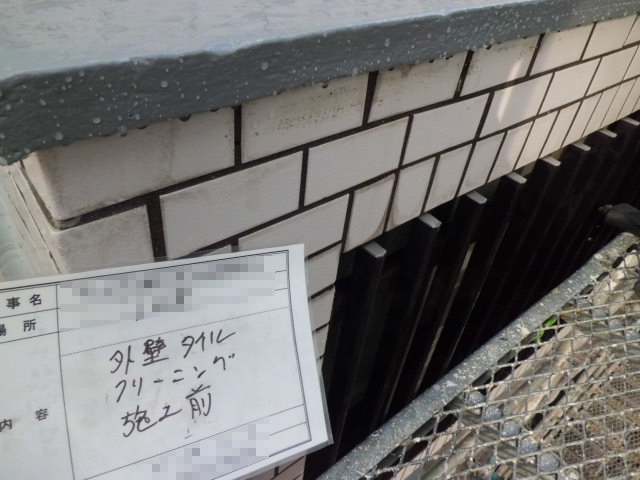 洗浄前の様子