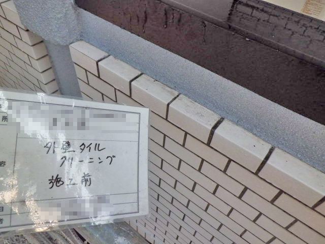 洗浄前の様子
