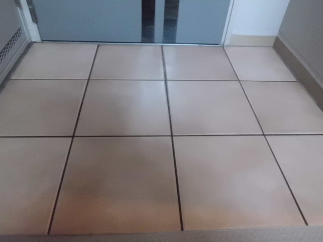 洗浄前の写真