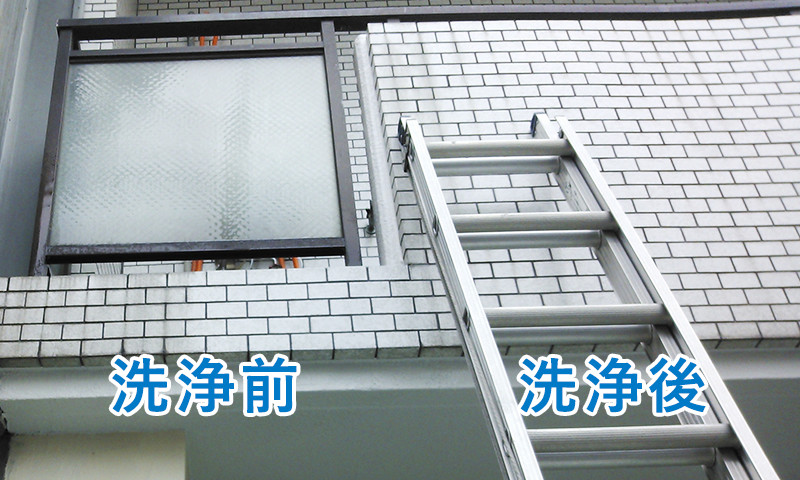 こちらははしごでの対応