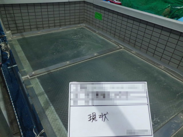 洗浄前の様子