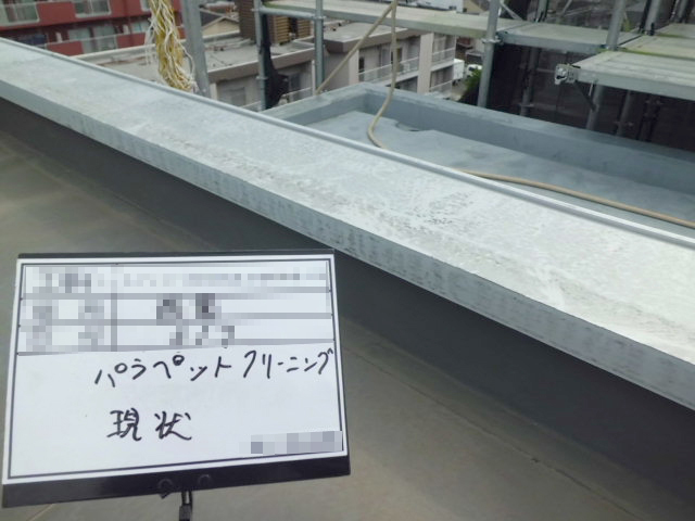 洗浄前の様子