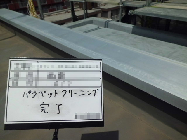 洗浄後の様子